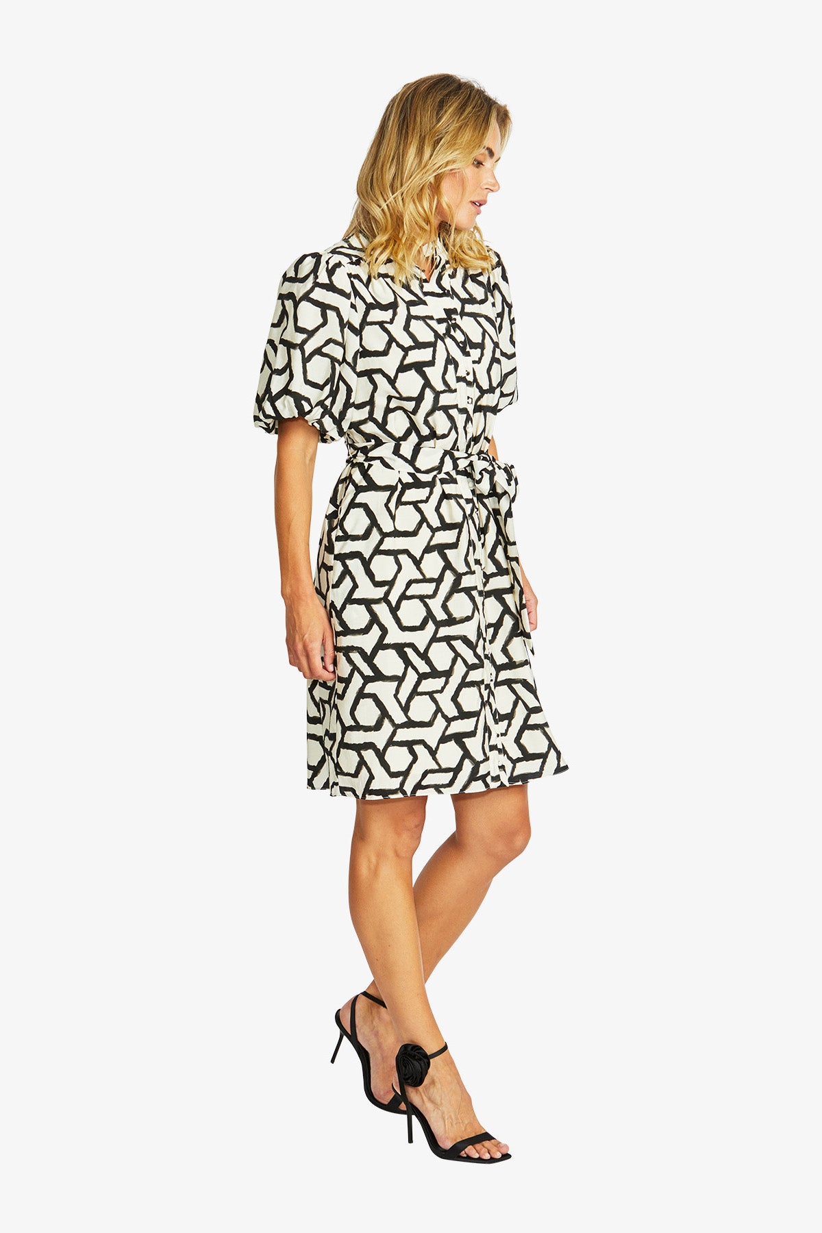 Women's Balloon Sleeve Dress Print in Black | Camille