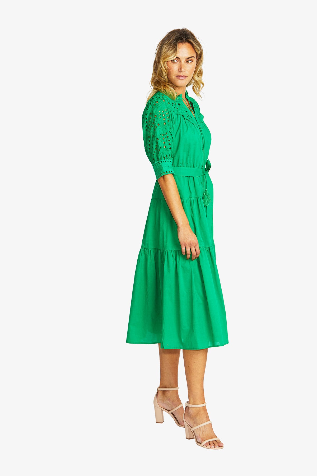Rose Broderie Dress in Parrot